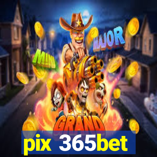 pix 365bet